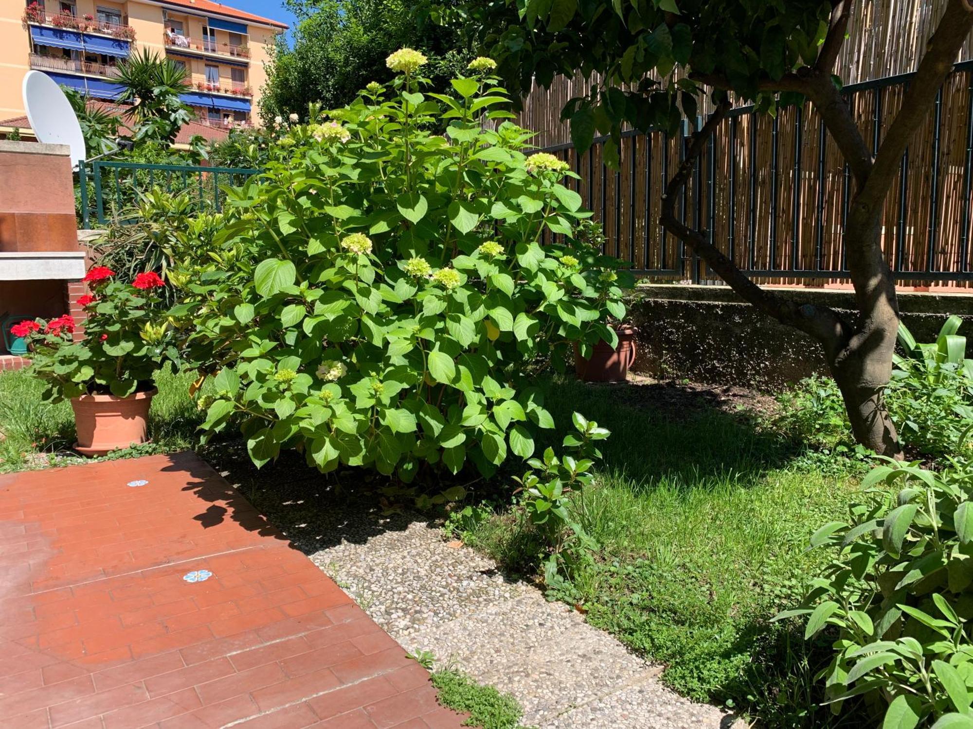 Il Giardino Dei Limoni Apartment Chiavari Exterior foto